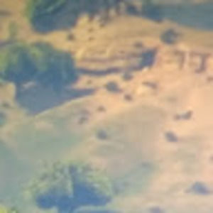 Meet your Posher, Abdul